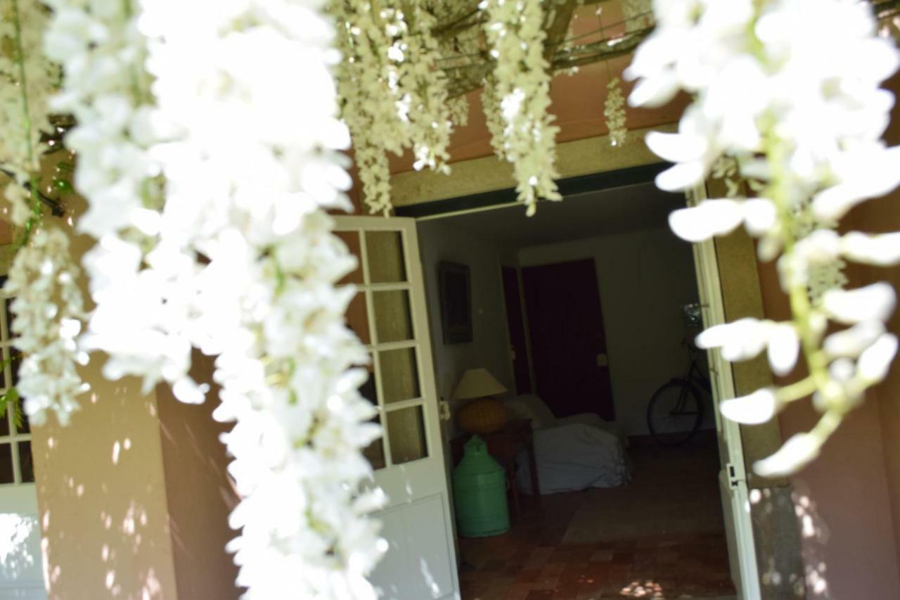 Quinta Da Varzea Villa Sintra Bagian luar foto